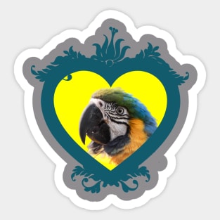 Parrot in a Heart Shaped Frame Sticker